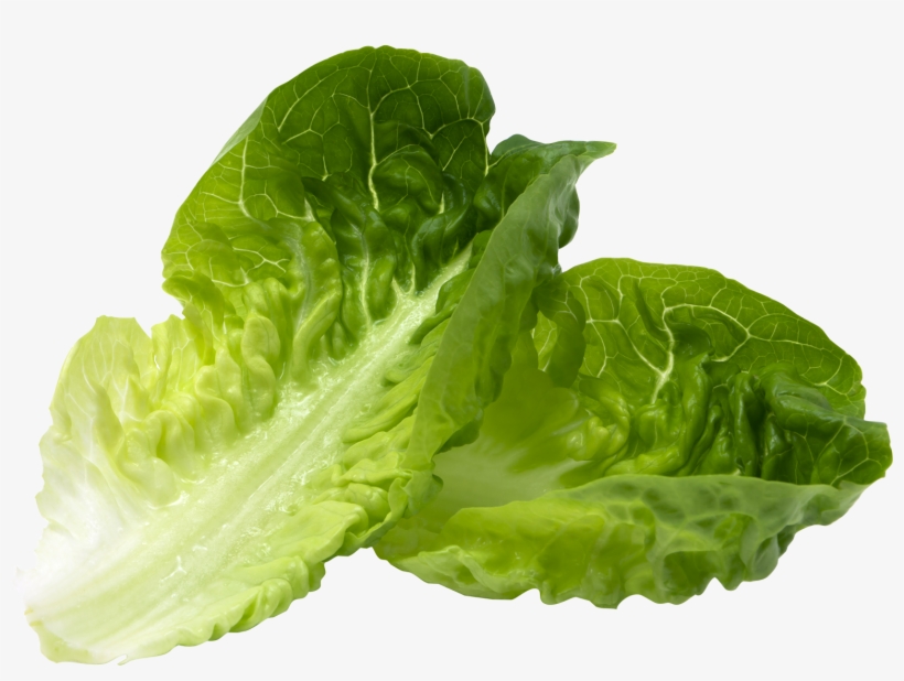 Romaine - Dr Gundry Green Smoothie, transparent png #3140485