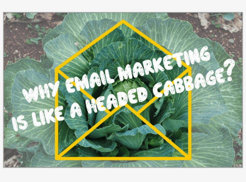 Headed Cabagge For Email Marketing Manager - Email, transparent png #3140532