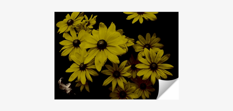 Yellow Daisies Old World Painting Look - Herrliche Gelbe Gänseblümchen-dunkelheit, Grußkarte, transparent png #3140706