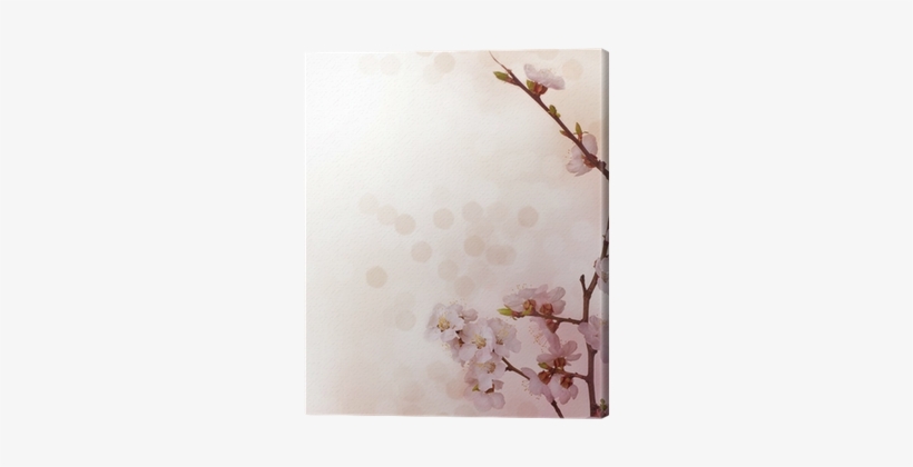 Cherry Blossom, transparent png #3140731