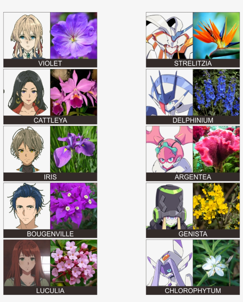 1mib, 1080x1080, Flowers, transparent png #3140759