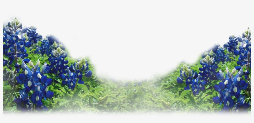 Take The First Step - Essential Oils: 30 Essential Oil Recipes For All Occasions, transparent png #3140816