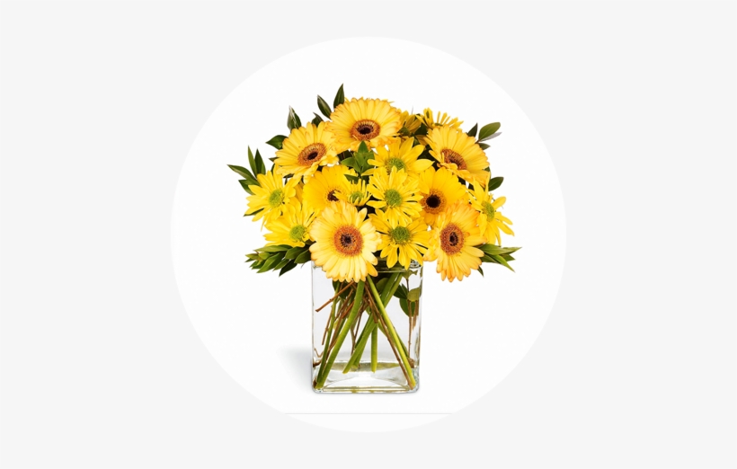 Yellow Daisy Bouquet, transparent png #3140819
