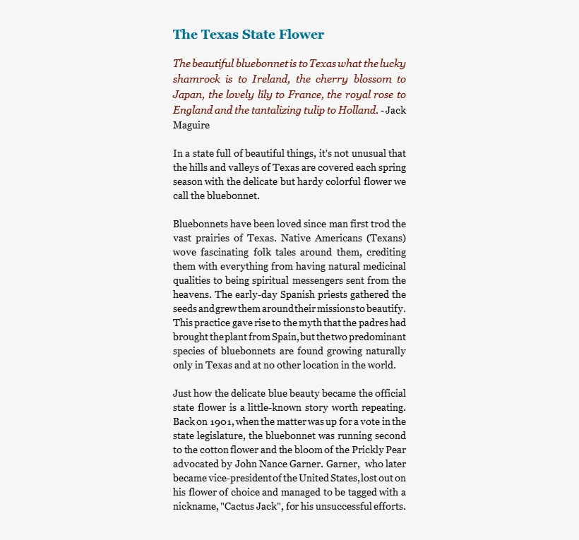 The Texas State Flower The Beautiful Bluebonnet Is - Bluebonnet, transparent png #3141125