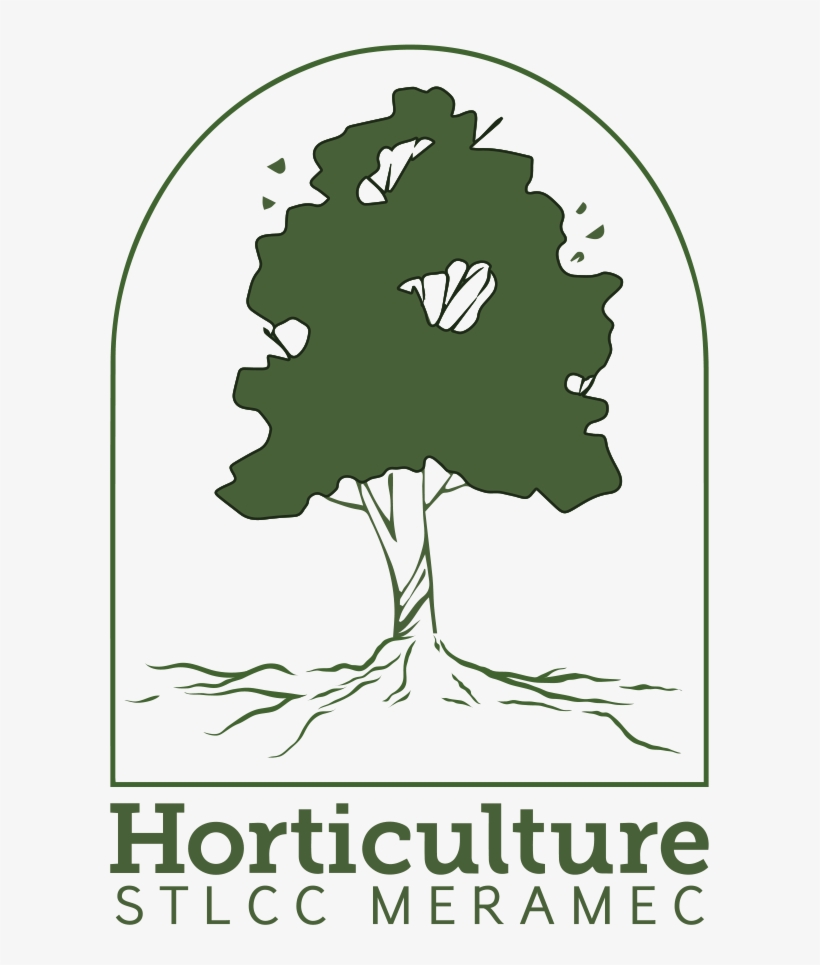 Special Presenting Sponsors - November, transparent png #3141234