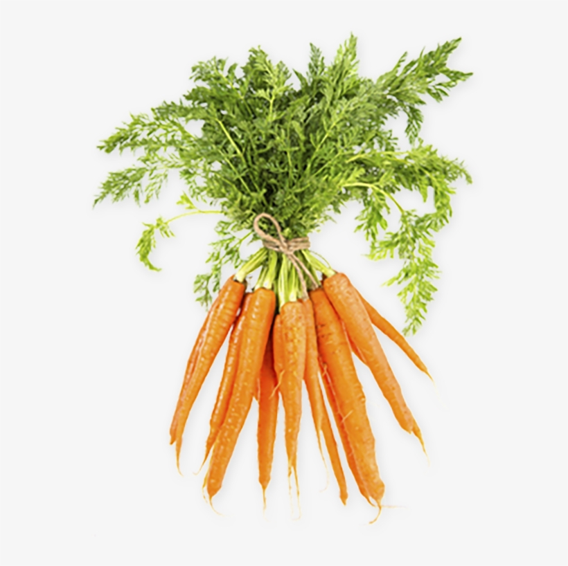 Learn The Essentials First And Worry About The Rest - Bospeen, transparent png #3141260