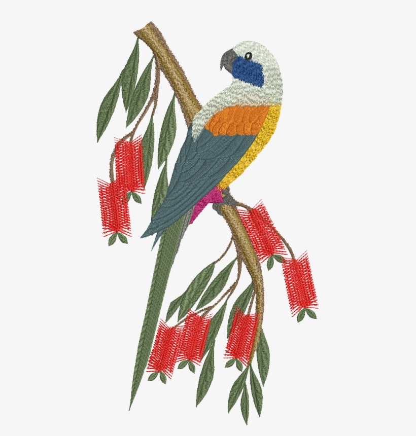 Bluebonnet Parrot, transparent png #3141590