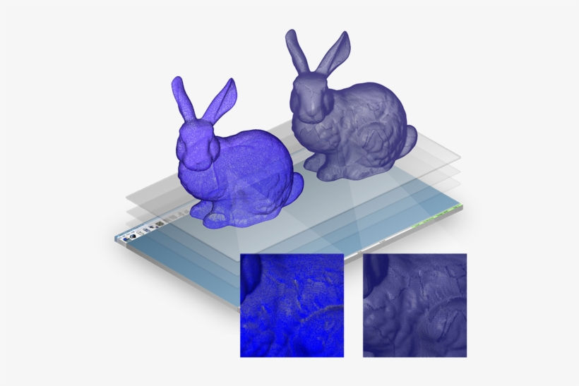 Registration - Domestic Rabbit, transparent png #3142187