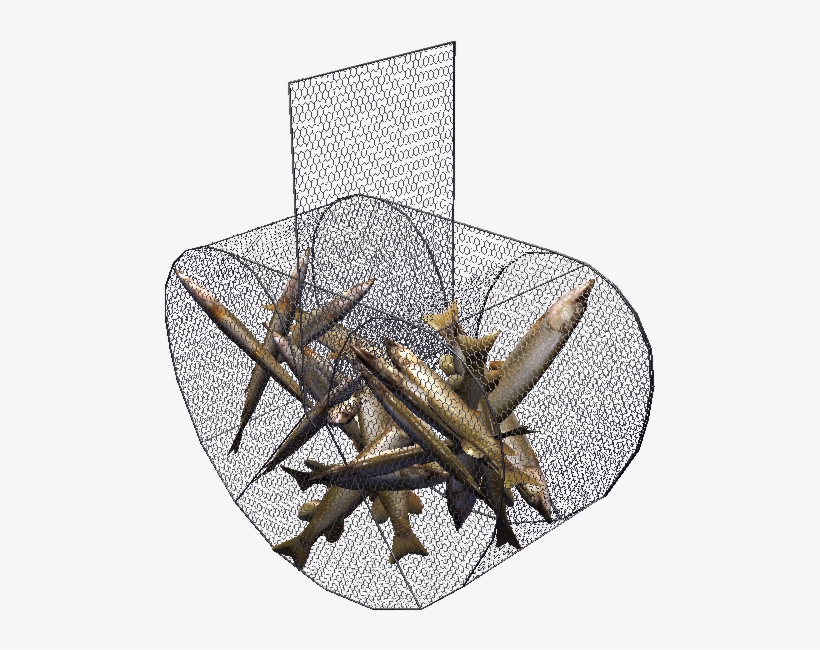 Fish Trap - Chair, transparent png #3142470