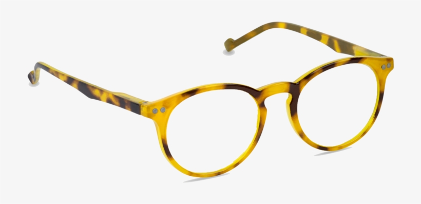 Brain Trust - Golden Tortoise Beetle, transparent png #3142472