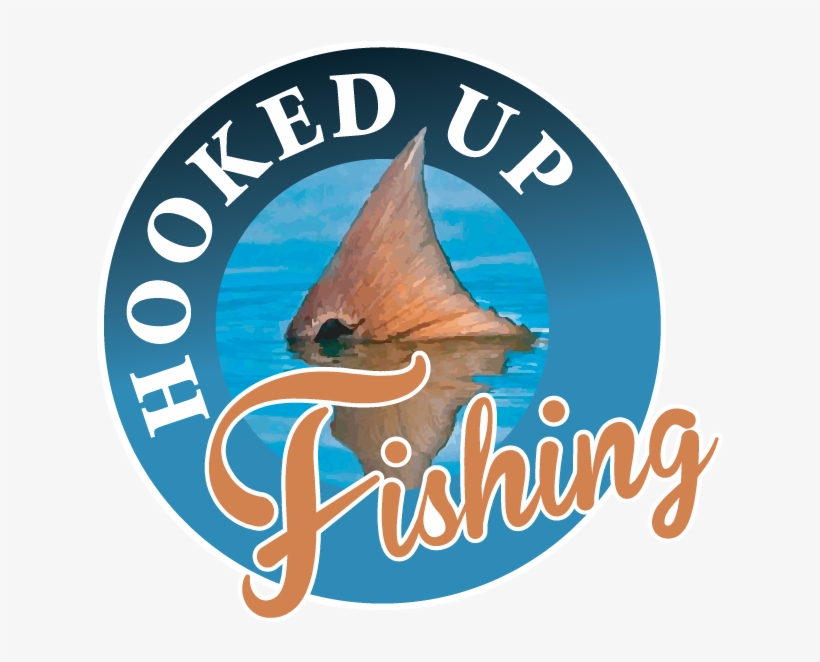 Hooked Up Fishing Charters St - Fish, transparent png #3142597