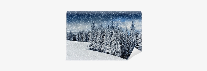 French Memes, transparent png #3143001