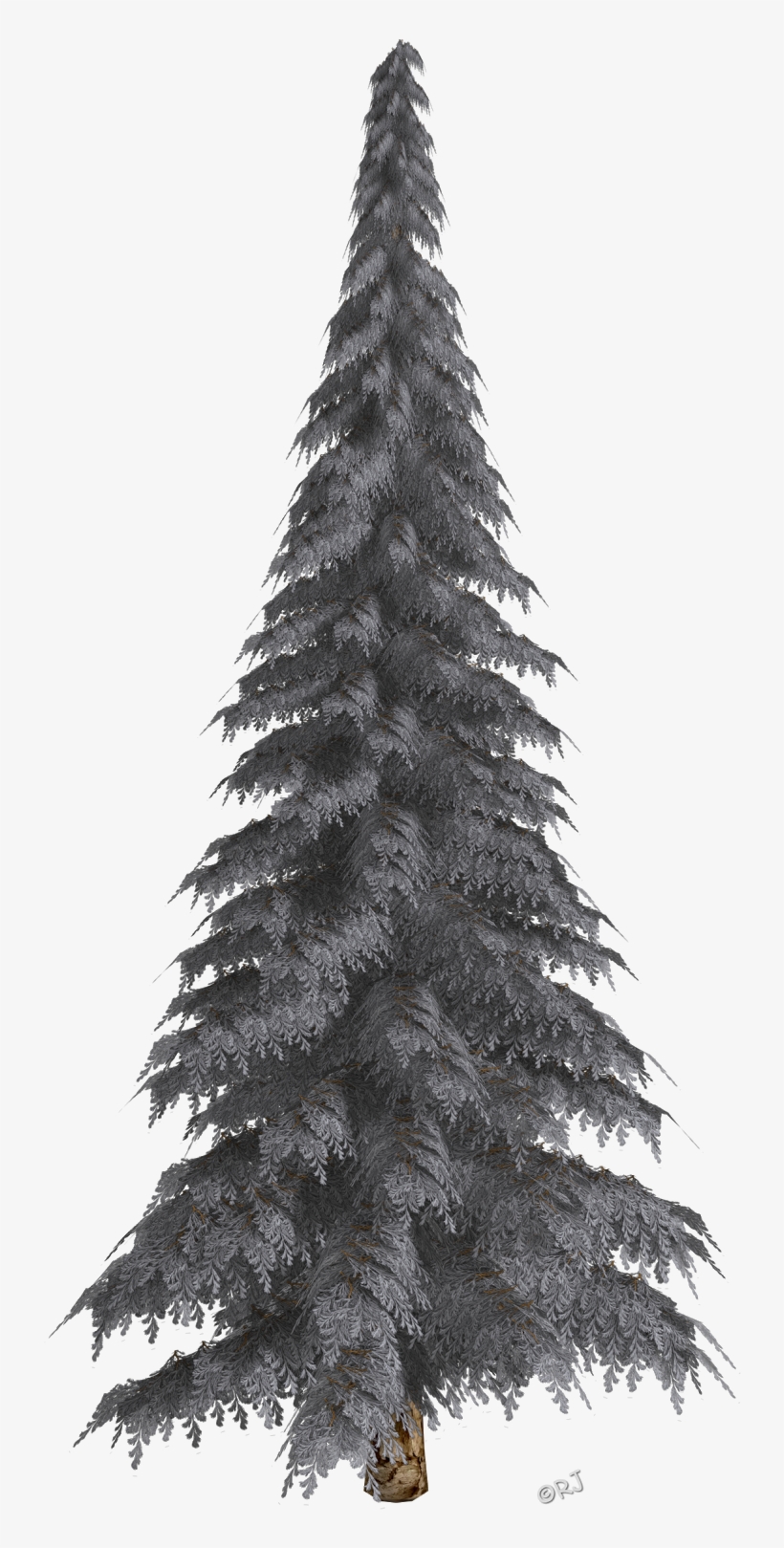 Winter Trees & Christmas Trees - Christmas Tree, transparent png #3143076