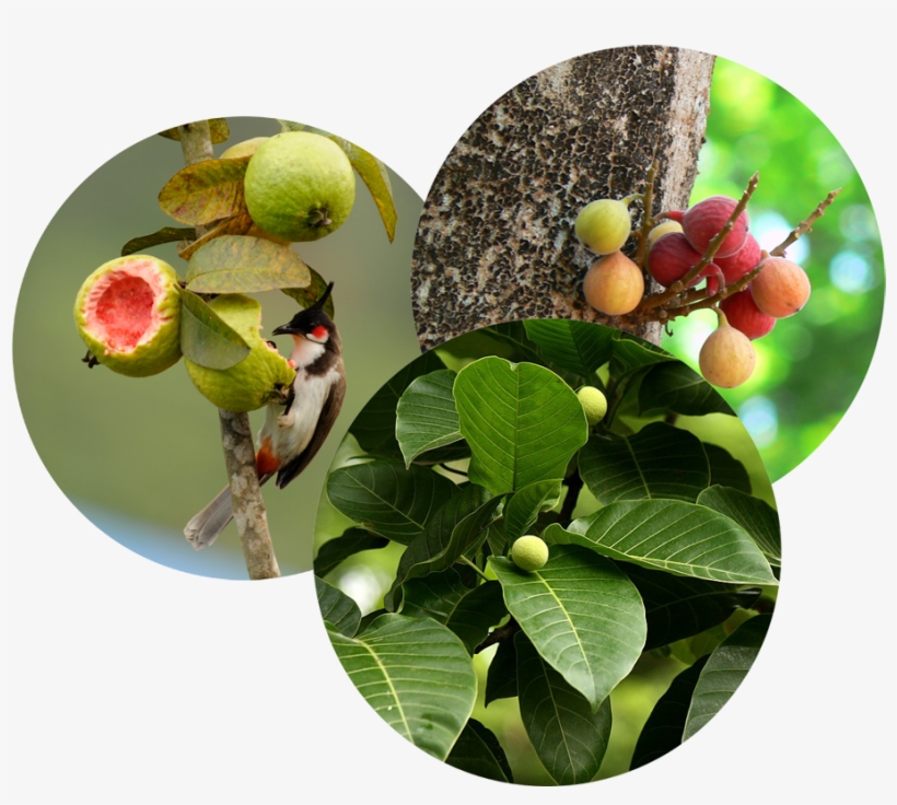 People Across The Country Are Reporting Untimely Events, transparent png #3143108