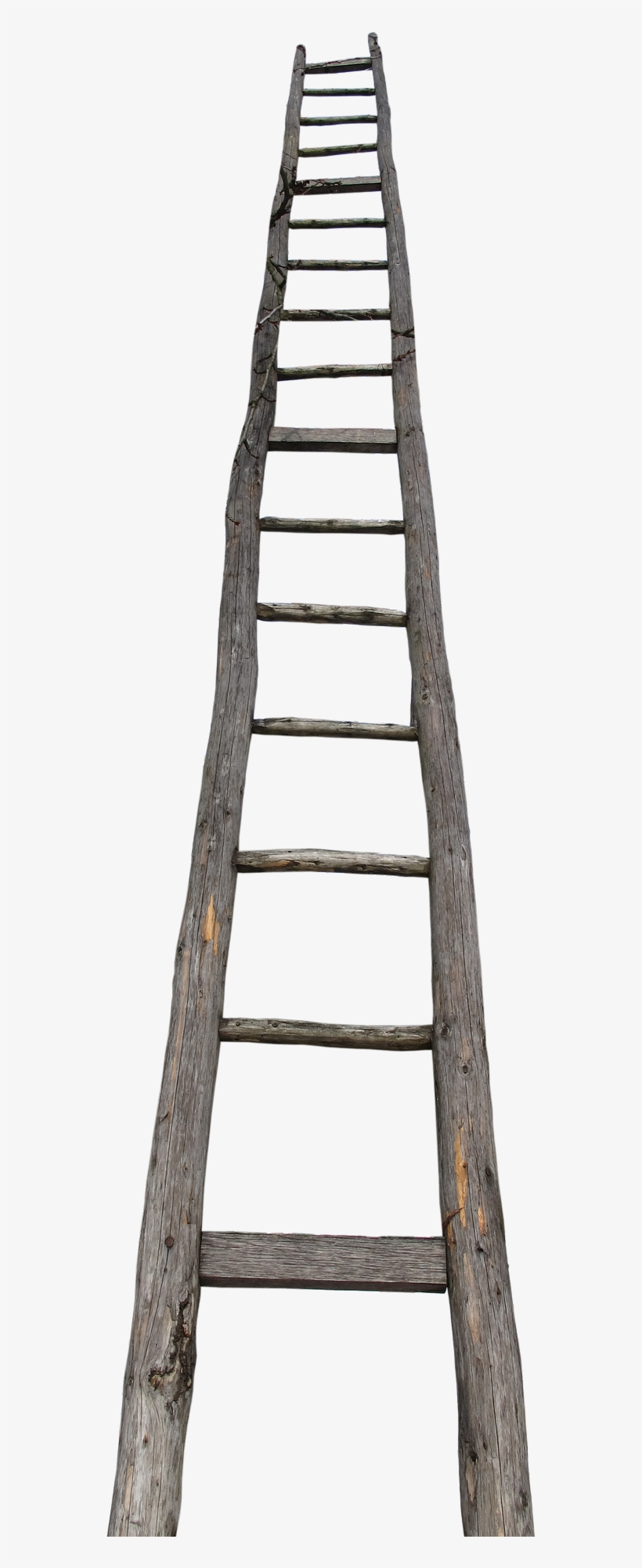Farming Firm Fined After Ladder Fall - Scala A Pioli Png, transparent png #3143220