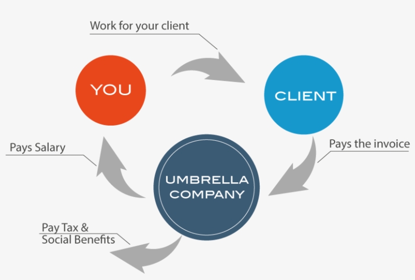 Flowchart Of Umbrella Employment - Does An Umbrella Company Work, transparent png #3143993