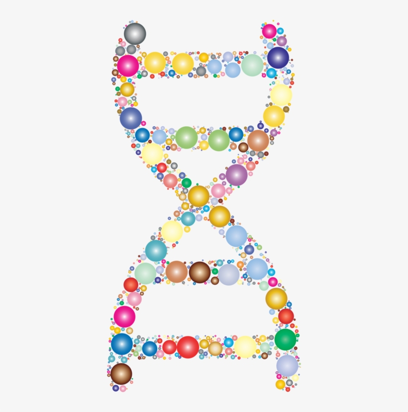 Nucleic Acid Double Helix Dna Molecular Biology Circle - Molecular Biology Clipart, transparent png #3144677
