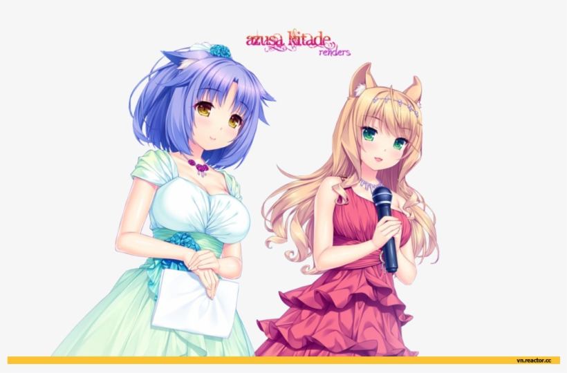 Cat, transparent png #3144713