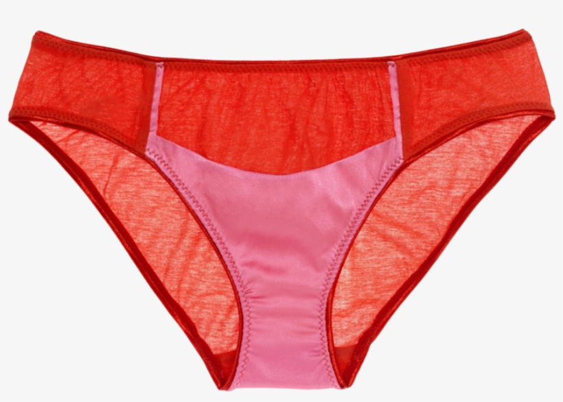 Liselott Panty Zinnia - Lingerie, transparent png #3145119