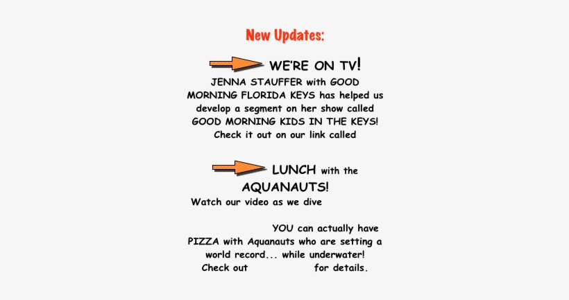 Jenna Stauffer With Good Morning Florida Shapeimage - Florida Keys, transparent png #3145295