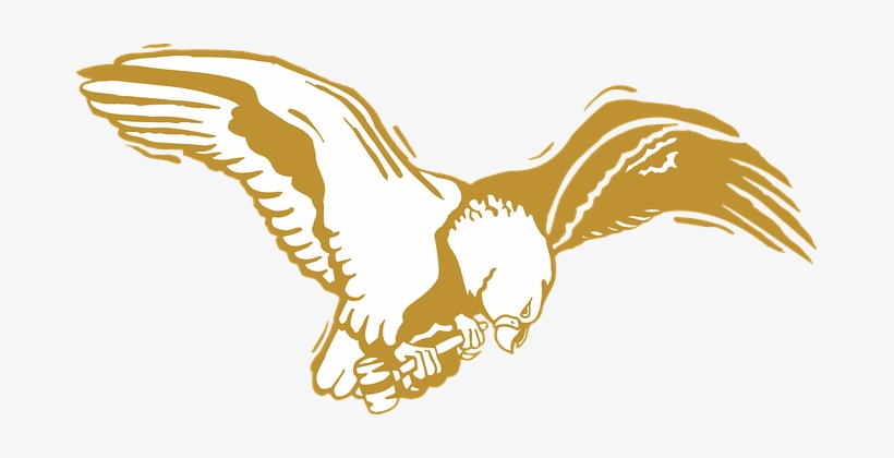 Eagle Bird Gold Wings Feathers Golden Eagle Clip Art