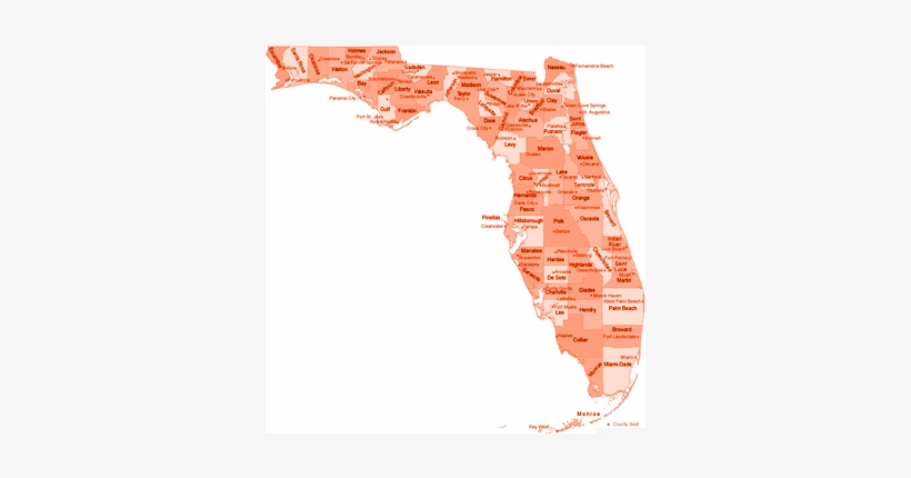 Mini Storage Buildings In Florida - Florida County Map, transparent png #3145999