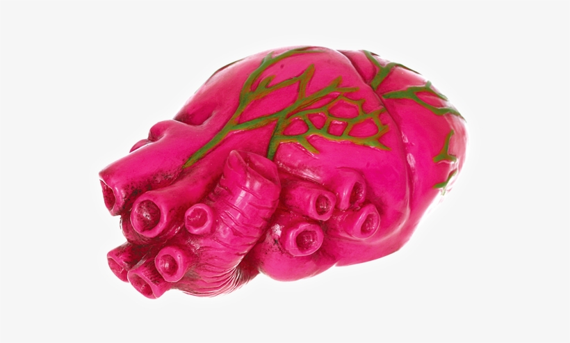 Neon Realistic Heart - Theatrical Property, transparent png #3146246