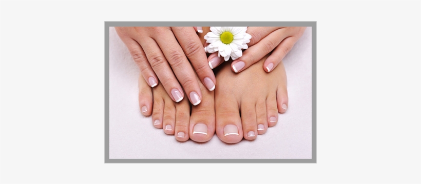 B&g Organics Ecolosophy Lemon Butter Cuticle Cream, transparent png #3147406