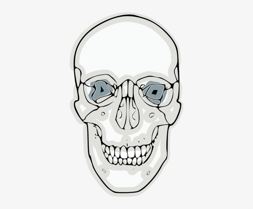 Digitalized Human Skull Clipart Png - Skull, transparent png #3147498