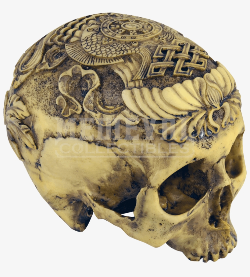 Skull, transparent png #3147526