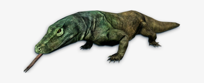 Komodo Dragon Transparent Png - Far Cry 3 Komodo, transparent png #3147781