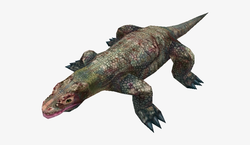 Download Zip Archive - Marine Iguana, transparent png #3147892