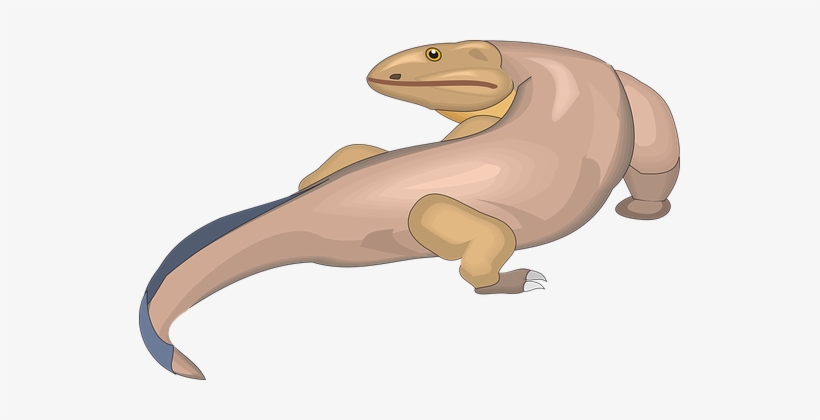 Картинки По Запросу Komodo Dragon Наброски - Vector Graphics, transparent png #3148137