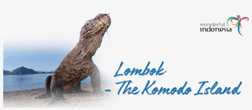 The Lombok Island Features Stunning Beaches And Bays - Komodo Dragon, transparent png #3148184