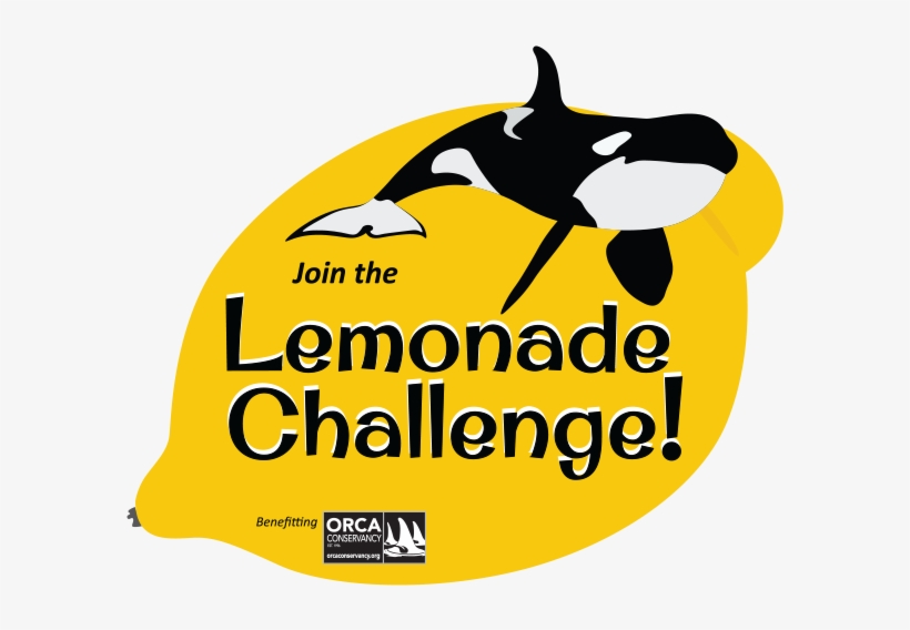 Orca Conservancy, transparent png #3149063
