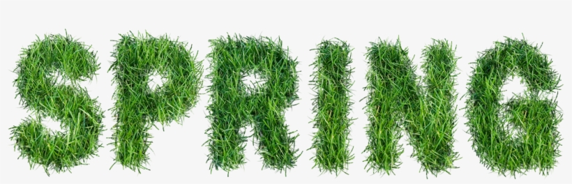 Turf Png, transparent png #3149256