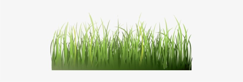 Grass - Orientando, Diario Di Viaggio Un Po' Psicotico E Un, transparent png #3149333