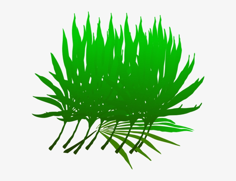 Palm Frond Clip Art, transparent png #3150164