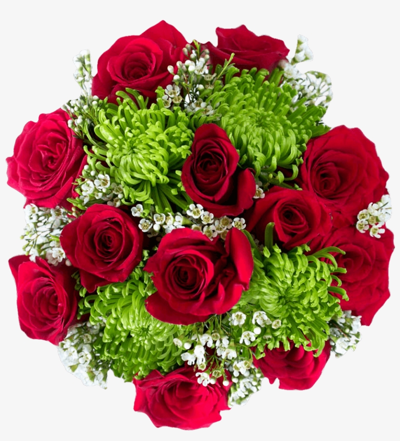 Candy Apple - Floribunda, transparent png #3150797