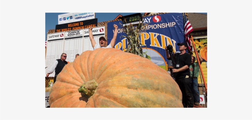 Attractionspumpkin - 45th Safeway World Championship Pumpkin Weigh Off, transparent png #3151755