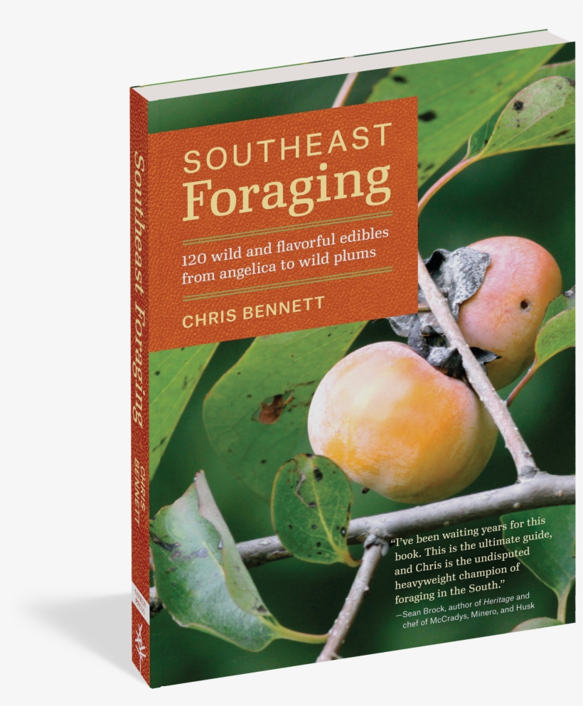 Cover - Southeast Foraging: 120 Wild And Flavorful Edibles, transparent png #3151891