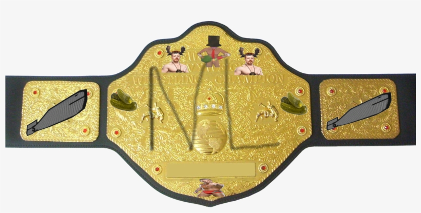 Wcw World Heavyweight Championship Pngwcw World Heavyweight - Wrestling Belt, transparent png #3151966