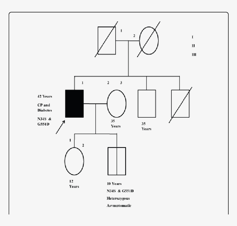 Square - Male - Circle - Female - Dark Shade - - Diagram, transparent png #3152010