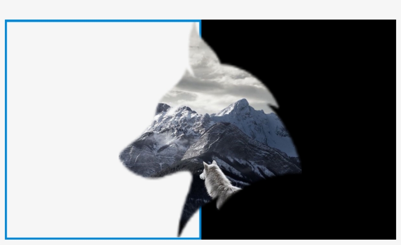 Why Wolfman & Co - Wolf Notebook: Glossy Cover, transparent png #3154356