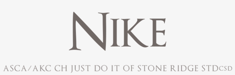 Just Do It Of Stone Ridge Stdcsd "nike" - Calligraphy, transparent png #3154454
