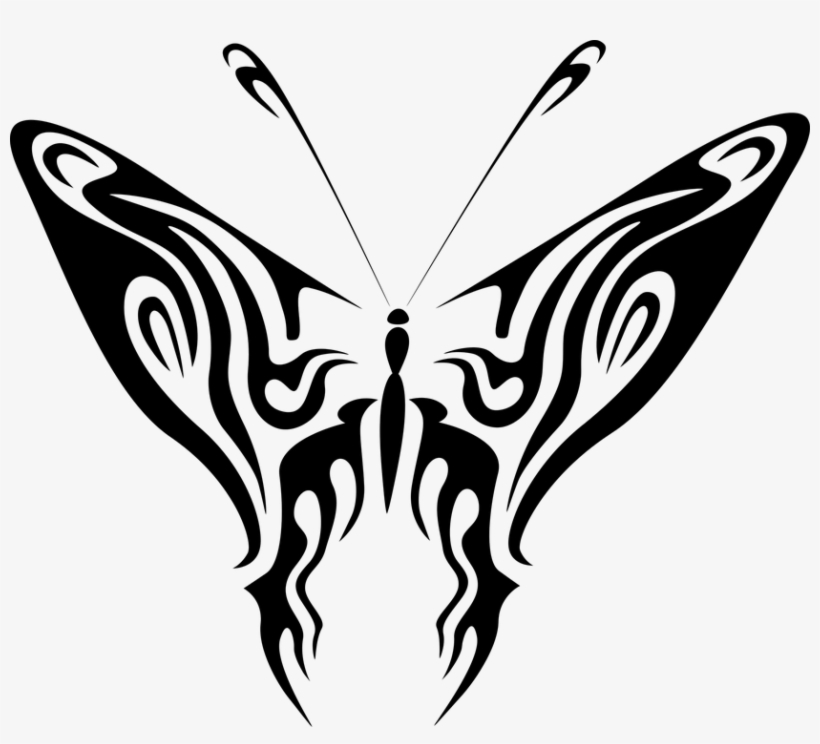 Butterfly 7 Greeting Cards (pk Of 10), transparent png #3155103