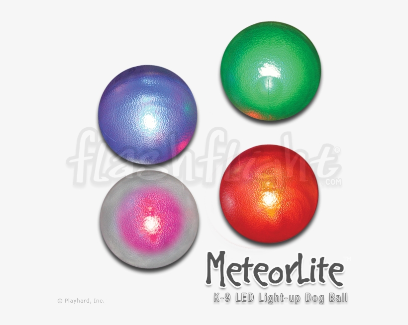 K 9 Led Light Up Dog Ball - Dog, transparent png #3155130