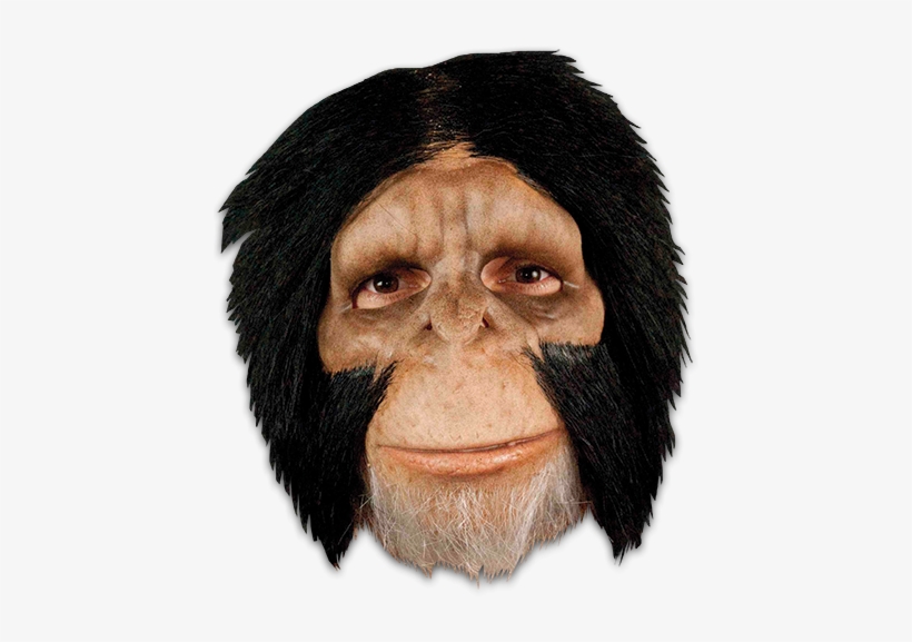 Planet Of The Apes Face Png, transparent png #3155370
