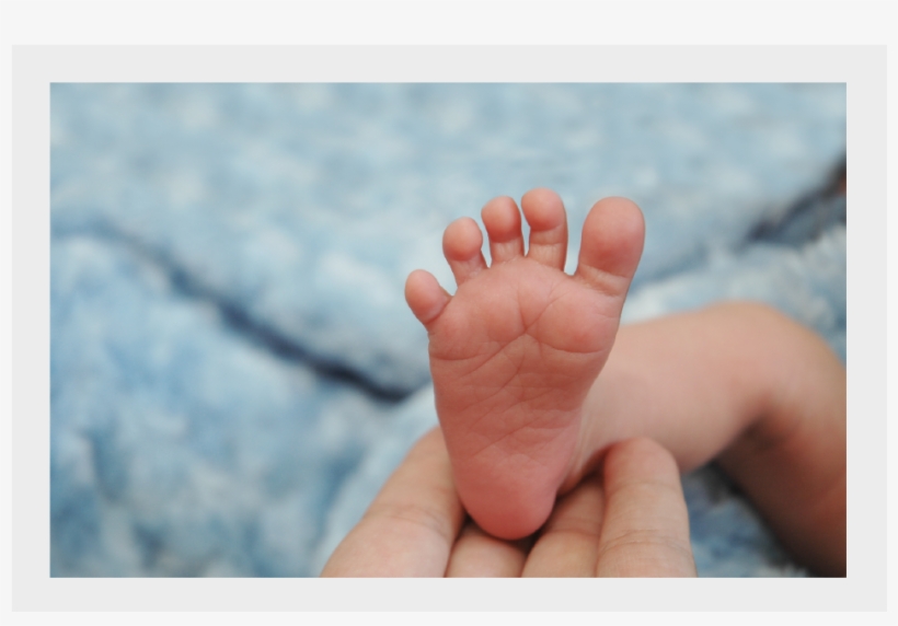 Baby Dedication - Child, transparent png #3155454