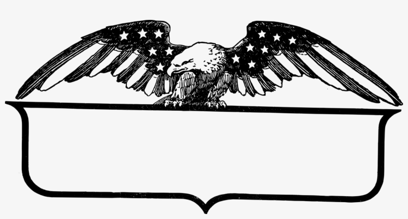 Bald Eagle United States Picture Frames - Eagle Frame Png, transparent png #3155820